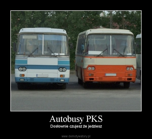 Autobusy PKS – Dosłownie czujesz że jedziesz 
