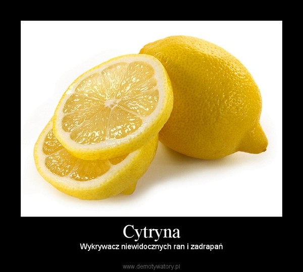 Cytryna – Wykrywacz niewidocznych ran i zadrapań 