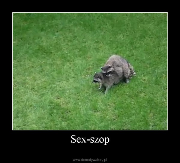 Sex-szop –   