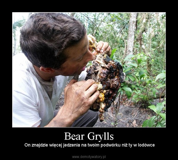 Bear Grylls –  On znajdzie więcej jedzenia na twoim podwórku niż ty w lodówce 