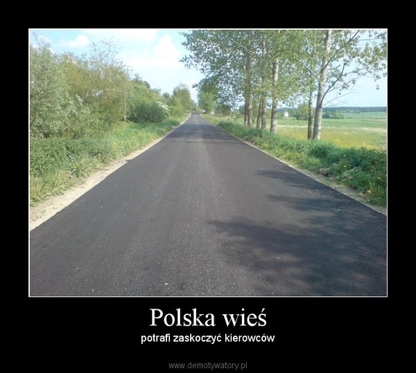 Polska wieś – potrafi zaskoczyć kierowców 