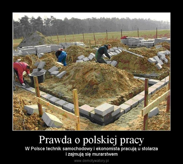 Prawda o polskiej pracy – W Polsce technik samochodowy i ekonomista pracują u stolarzai zajmują się murarstwem 