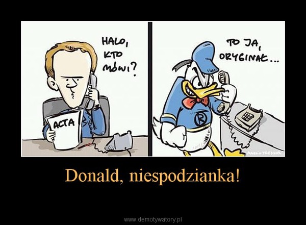 Donald, niespodzianka! –  