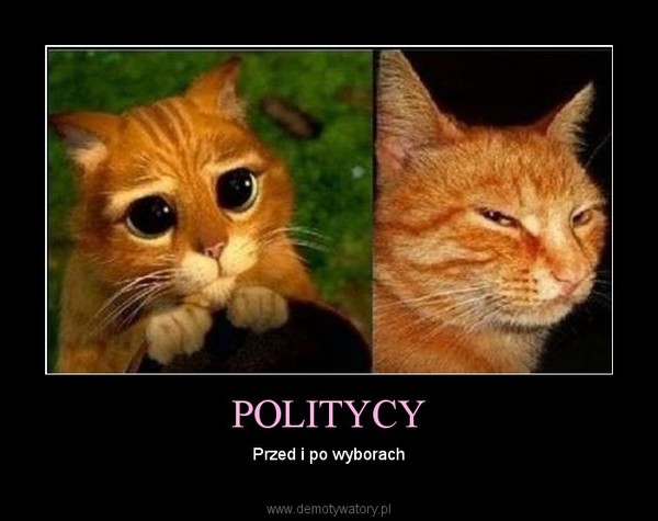POLITYCY – Przed i po wyborach 