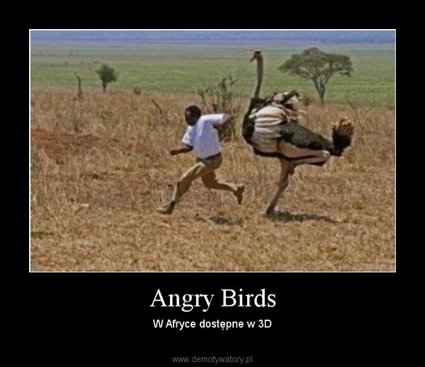 Angry Birds – W Afryce dostępne w 3D 