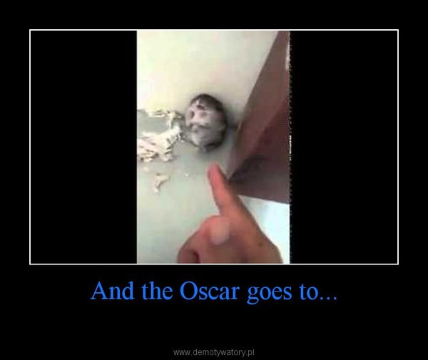 And the Oscar goes to... –  