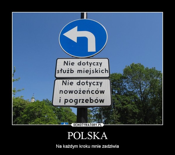 POLSKA – Na każdym kroku mnie zadziwia 