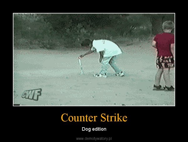 Counter Strike – Dog edition 