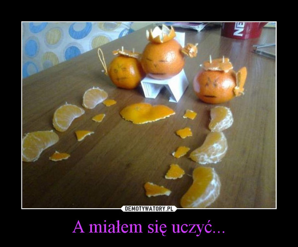 A miałem się uczyć... –  