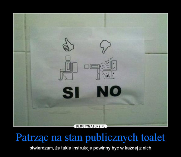 Patrząc na stan publicznych toalet – stwierdzam, że takie instrukcje powinny być w każdej z nich 