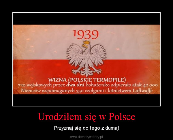 Urodziłem się w Polsce – Przyznaj się do tego z dumą! 