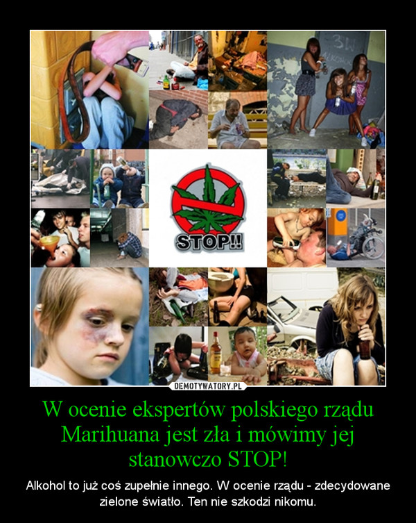 W ocenie ekspertów polskiego rządu Marihuana jest zła i mówimy jej stanowczo STOP!