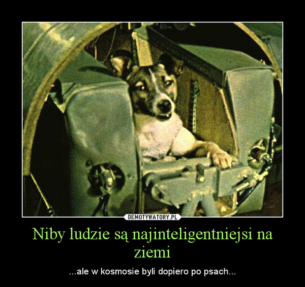 Niby ludzie są najinteligentniejsi na ziemi – ...ale w kosmosie byli dopiero po psach... 
