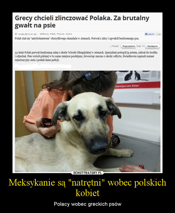 Meksykanie są "natrętni" wobec polskich kobiet – Polacy wobec greckich psów 