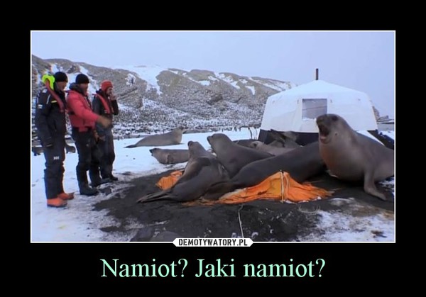 Namiot? Jaki namiot? –  