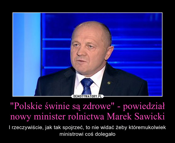 "Polskie świnie są zdrowe" - powiedział nowy minister rolnictwa Marek Sawicki