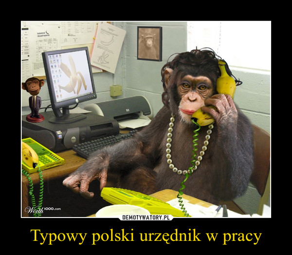 Typowy polski urzędnik w pracy –  