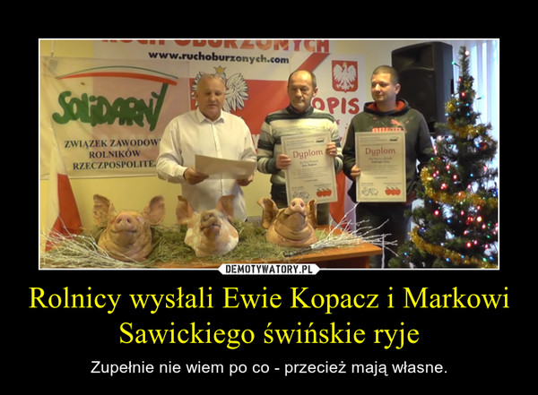 Rolnicy wysłali Ewie Kopacz i Markowi Sawickiego świńskie ryje