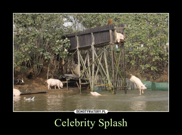 Celebrity Splash