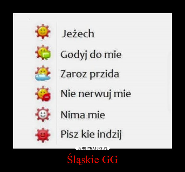Śląskie GG –  