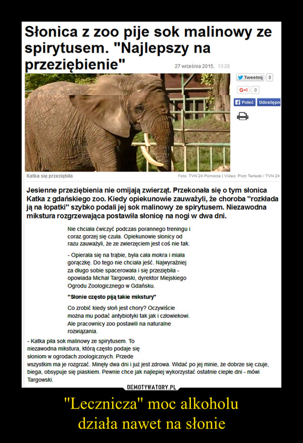 ''Lecznicza'' moc alkoholudziała nawet na słonie –  