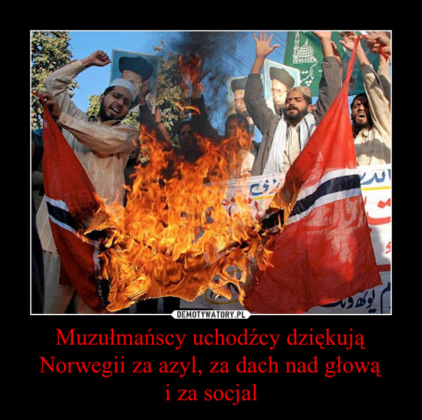 Muzułmańscy uchodźcy dziękują Norwegii za azyl, za dach nad głowąi za socjal –  