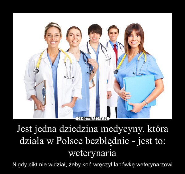 Jest jedna dziedzina medycyny, która działa w Polsce bezbłędnie - jest to: weterynaria