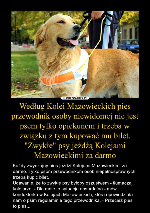Według Kolei Mazowieckich pies przewodnik osoby niewidomej nie jest psem tylko opiekunem i trzeba w związku z tym kupować mu bilet. "Zwykłe" psy jeżdżą Kolejami Mazowieckimi za darmo