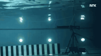Fizyk strzela do siebie z SIG-550  pod wodą – Trzeba mieć zaufanie do swojej wiedzy 
