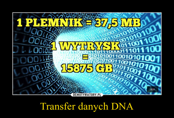 Transfer danych DNA