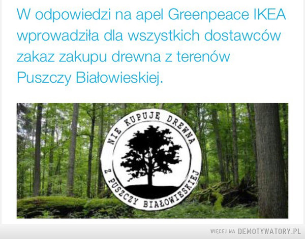 Brawo IKEA –  W odpowiedzi na apel Greenpeace IKEAwprowadziła dla wszystkich dostawcówzakaz zakupu drewna z terenówPuszczy Białowieskiej.