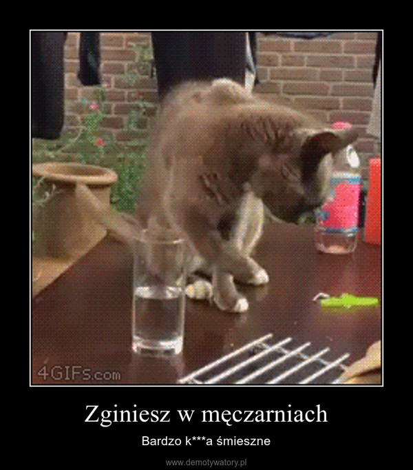 Zginiesz w męczarniach – Bardzo k***a śmieszne 