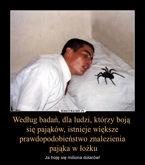 Według badań, dla ludzi, którzy boją się pająków, istnieje większe prawdopodobieństwo znalezienia pająka w łożku – Ja boję się miliona dolarów! 