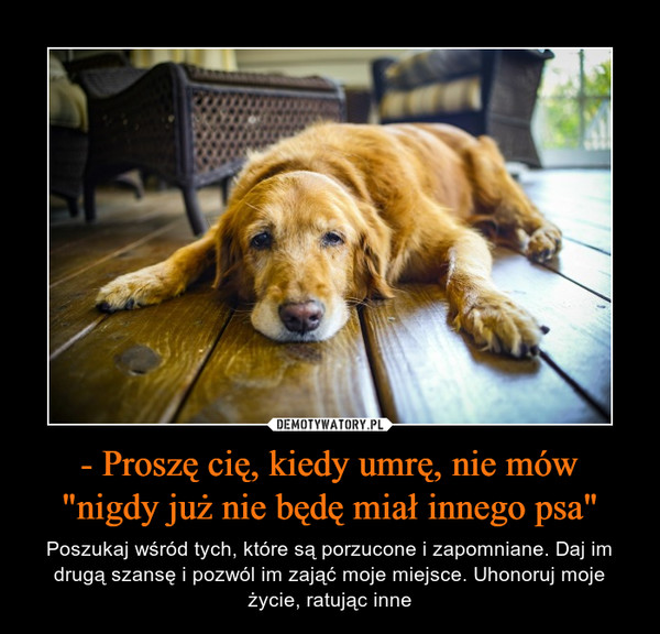 - Proszę cię, kiedy umrę, nie mów "nigdy już nie będę miał innego psa"