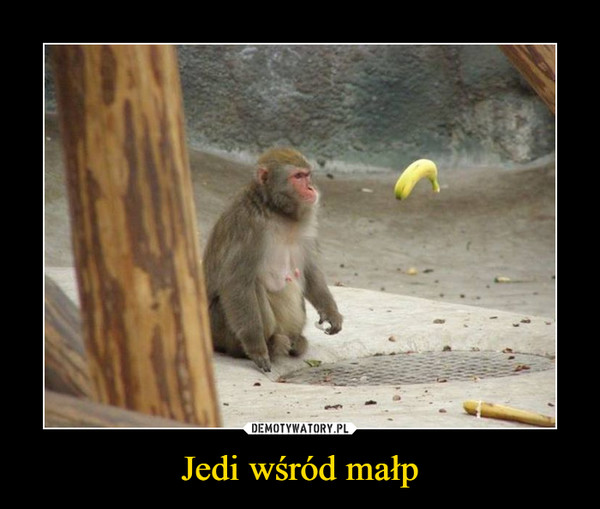Jedi wśród małp –  