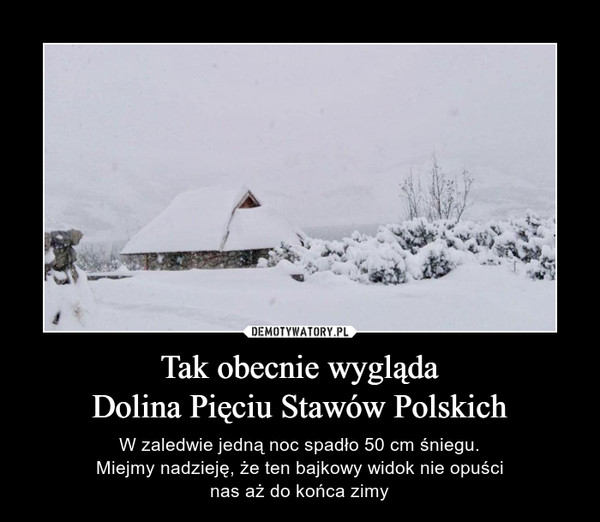 Tak obecnie wyglądaDolina Pięciu Stawów Polskich – W zaledwie jedną noc spadło 50 cm śniegu.Miejmy nadzieję, że ten bajkowy widok nie opuścinas aż do końca zimy 