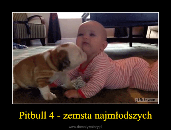 Pitbull 4 - zemsta najmłodszych –  