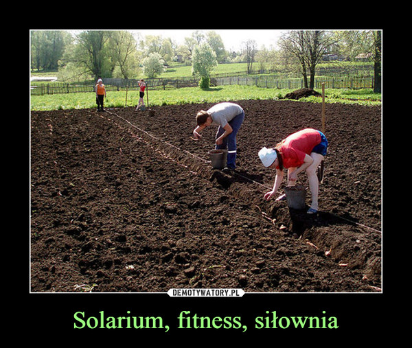 Solarium, fitness, siłownia –  