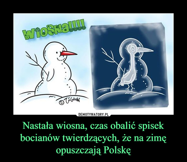 Nastała wiosna, czas obalić spisek bocianów twierdzących, że na zimę opuszczają Polskę –  