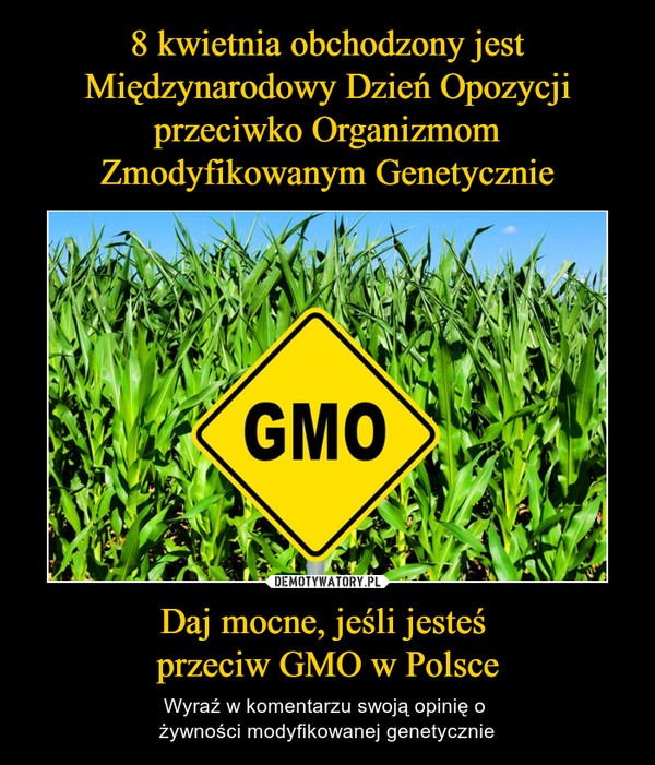 8 kwietnia obchodzony jest Międzynarodowy Dzień Opozycji przeciwko Organizmom Zmodyfikowanym Genetycznie Daj mocne, jeśli jesteś 
przeciw GMO w Polsce