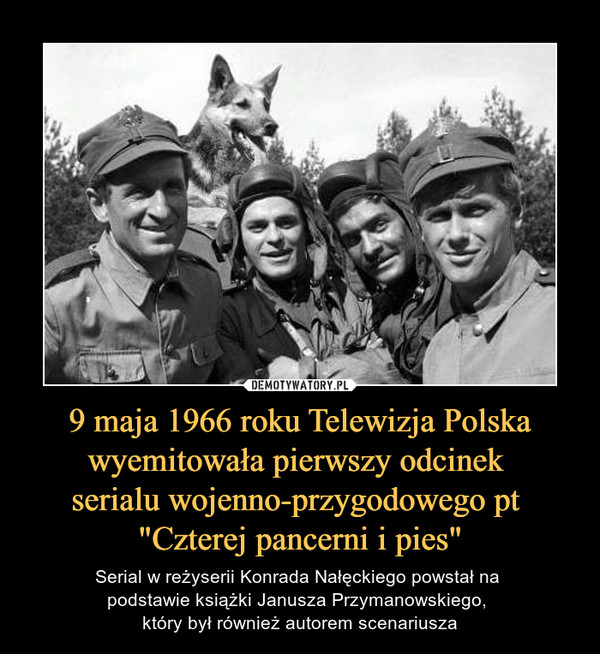 9 maja 1966 roku Telewizja Polska wyemitowała pierwszy odcinek 
serialu wojenno-przygodowego pt 
"Czterej pancerni i pies"