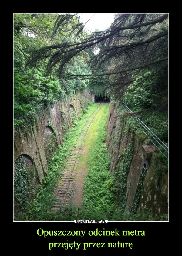 Opuszczony odcinek metraprzejęty przez naturę –  