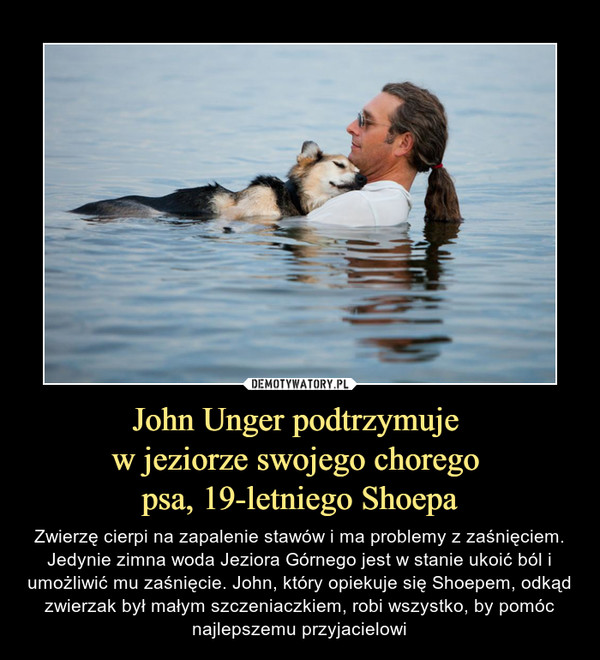 John Unger podtrzymuje 
w jeziorze swojego chorego 
psa, 19-letniego Shoepa