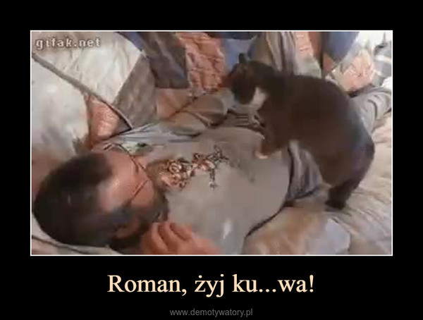 Roman, żyj ku...wa! –  