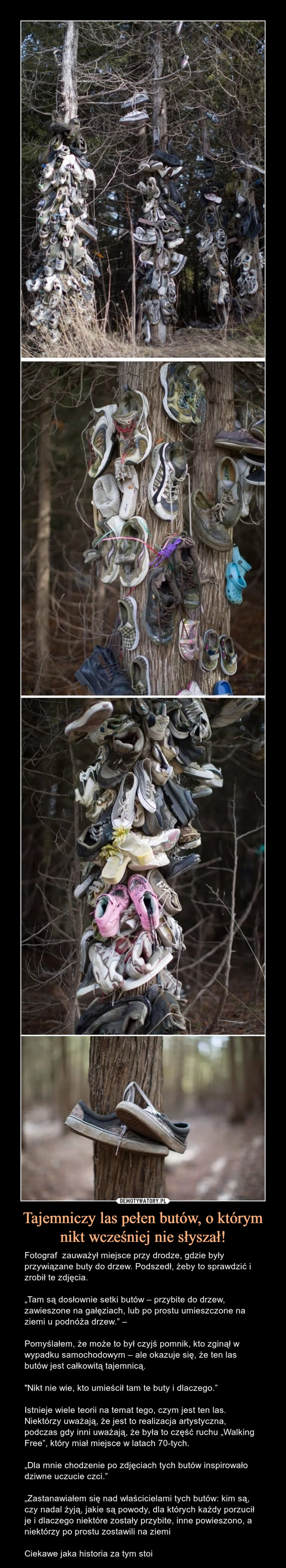 Tajemniczy las pełen butów, o którym nikt wcześniej nie słyszał! – Fotograf  zauważył miejsce przy drodze, gdzie były przywiązane buty do drzew. Podszedł, żeby to sprawdzić i zrobił te zdjęcia.„Tam są dosłownie setki butów – przybite do drzew, zawieszone na gałęziach, lub po prostu umieszczone na ziemi u podnóża drzew.” – Pomyślałem, że może to był czyjś pomnik, kto zginął w wypadku samochodowym – ale okazuje się, że ten las butów jest całkowitą tajemnicą."Nikt nie wie, kto umieścił tam te buty i dlaczego.”Istnieje wiele teorii na temat tego, czym jest ten las. Niektórzy uważają, że jest to realizacja artystyczna, podczas gdy inni uważają, że była to część ruchu „Walking Free”, który miał miejsce w latach 70-tych.„Dla mnie chodzenie po zdjęciach tych butów inspirowało dziwne uczucie czci.”„Zastanawiałem się nad właścicielami tych butów: kim są, czy nadal żyją, jakie są powody, dla których każdy porzucił je i dlaczego niektóre zostały przybite, inne powieszono, a niektórzy po prostu zostawili na ziemiCiekawe jaka historia za tym stoi 