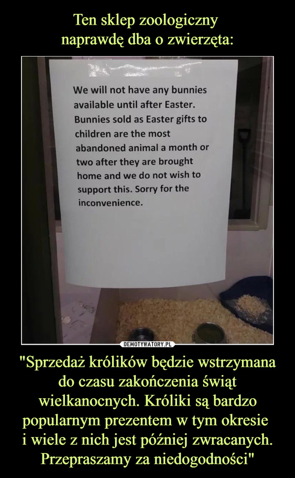 Ten sklep zoologiczny 
naprawdę dba o zwierzęta: "Sprzedaż królików będzie wstrzymana do czasu zakończenia świąt wielkanocnych. Króliki są bardzo popularnym prezentem w tym okresie 
i wiele z nich jest później zwracanych. Przepraszamy za niedogodności"