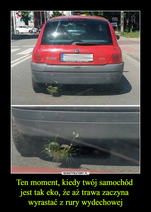 Ten moment, kiedy twój samochód 
jest tak eko, że aż trawa zaczyna 
wyrastać z rury wydechowej