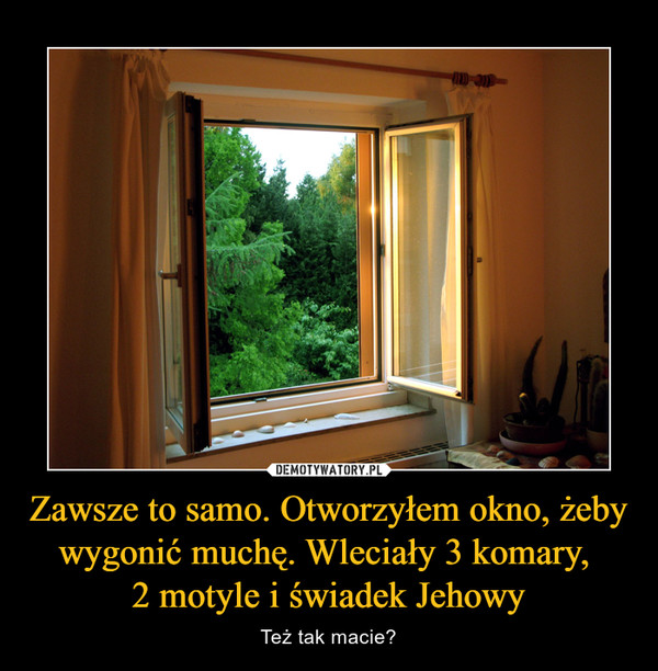 Zawsze to samo. Otworzyłem okno, żeby wygonić muchę. Wleciały 3 komary, 2 motyle i świadek Jehowy – Też tak macie? 