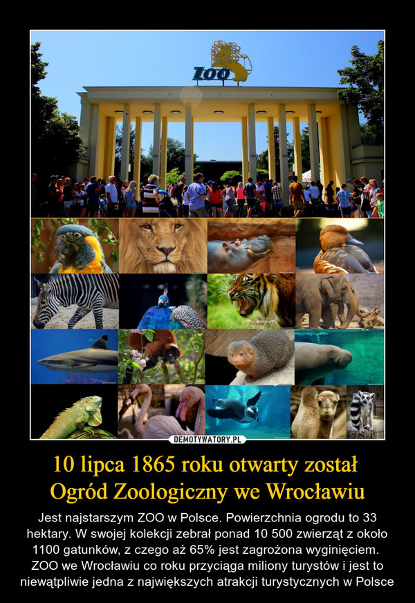 10 lipca 1865 roku otwarty został 
Ogród Zoologiczny we Wrocławiu