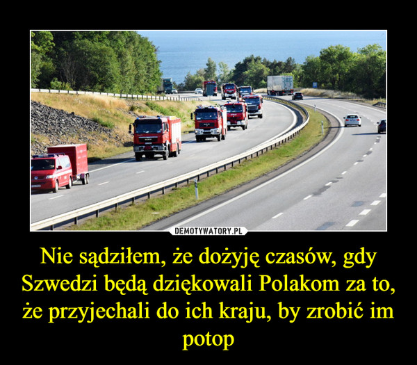 Nie sądziłem, że dożyję czasów, gdy Szwedzi będą dziękowali Polakom za to, że przyjechali do ich kraju, by zrobić im potop –  